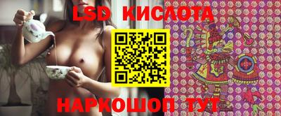 прущие грибы Партизанск