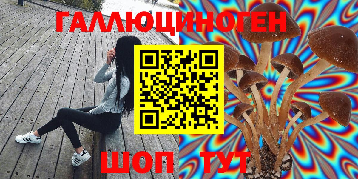 Галлюциногенные грибы мицелий  Вход с VPN  Советский  Галлюциногенные грибы GOLDEN TEACHER 